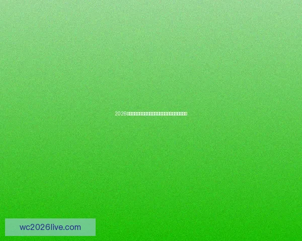 2026世界杯买球攻略：全方位解析投注技巧与热门赛事预测