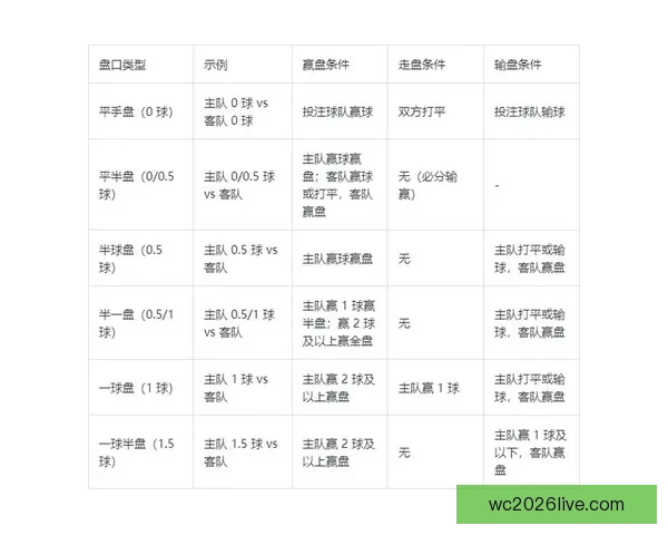 世界杯竞猜赔率大比拼 精选数据分析助你精准预测比赛结果